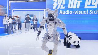 出轨的姐姐2